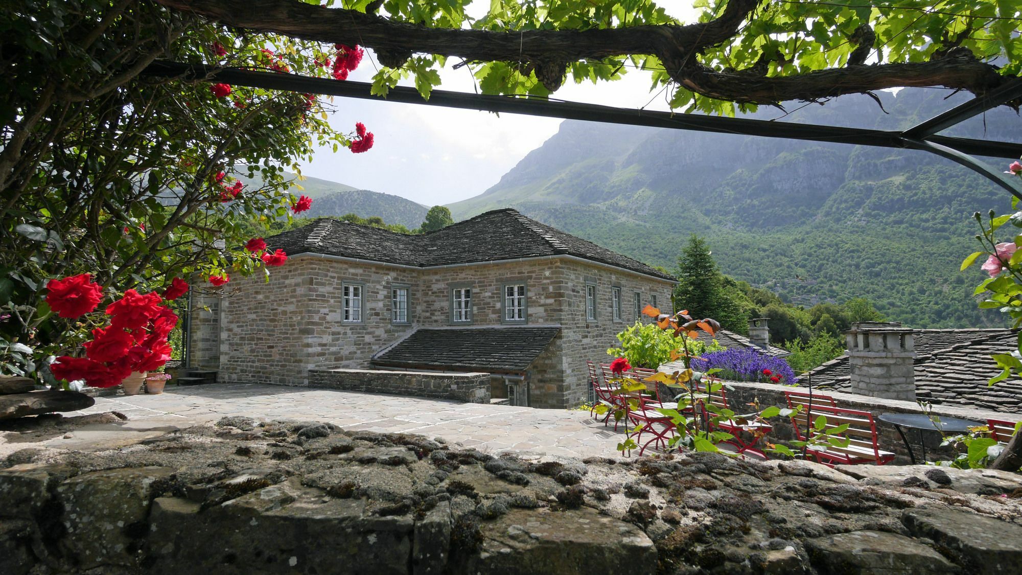 Papaevangelou Hotel Papingo Buitenkant foto