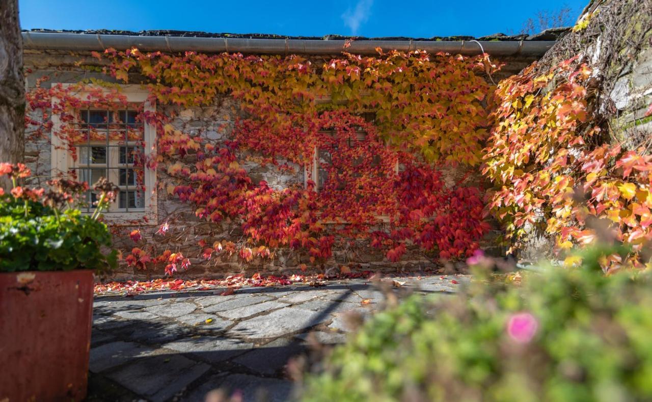 Papaevangelou Hotel Papingo Buitenkant foto